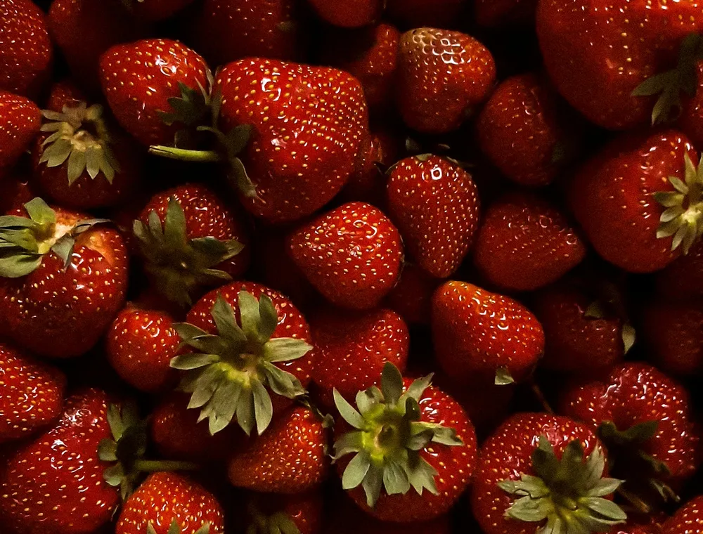 Fraises rouges mûres en gros plan