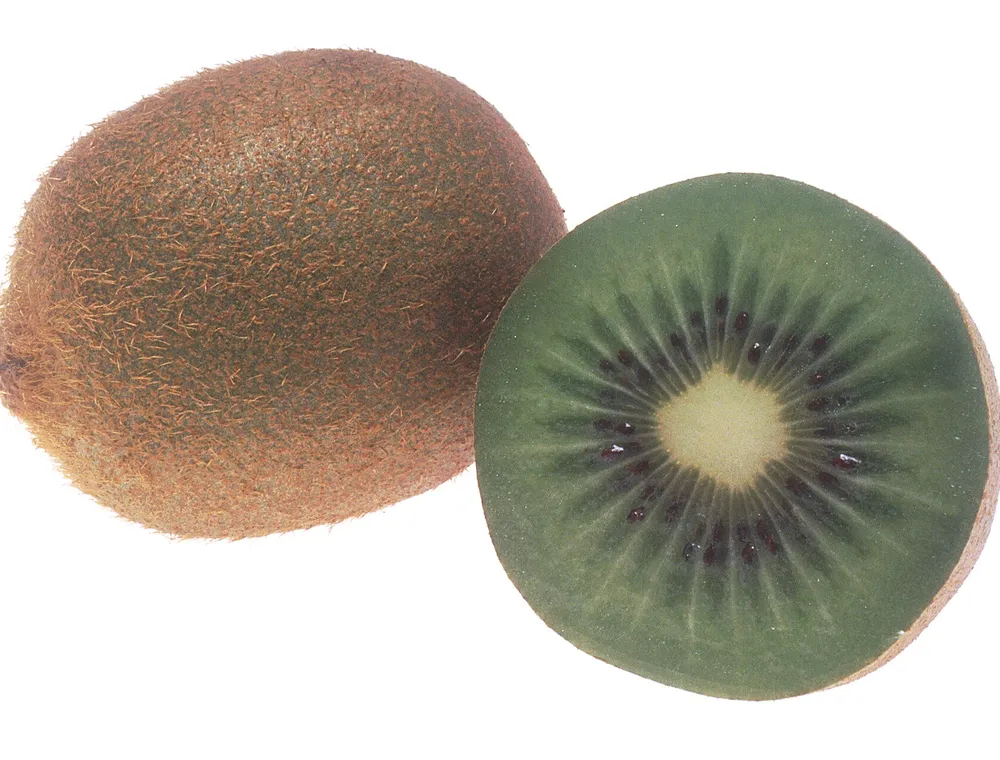 Un kiwi entier et un kiwi coupé en deux